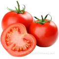 خط إنتاج صلصة الطماطم التلقائي